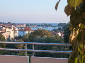 Гостиница Apartments Ceja near sea  Медулин